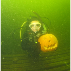 Pumpkin Carving Diver Course